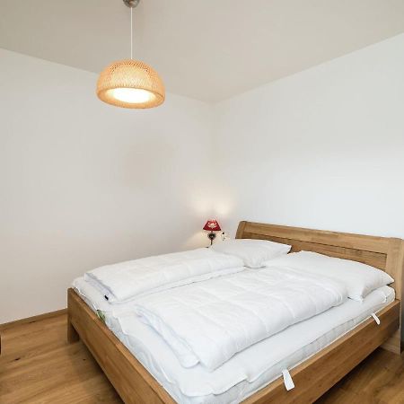 Luxury Apartment In Salzburg With Terrace 阿尔班多夫 外观 照片